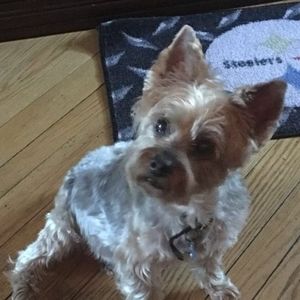 Meet your Posher, Tracy